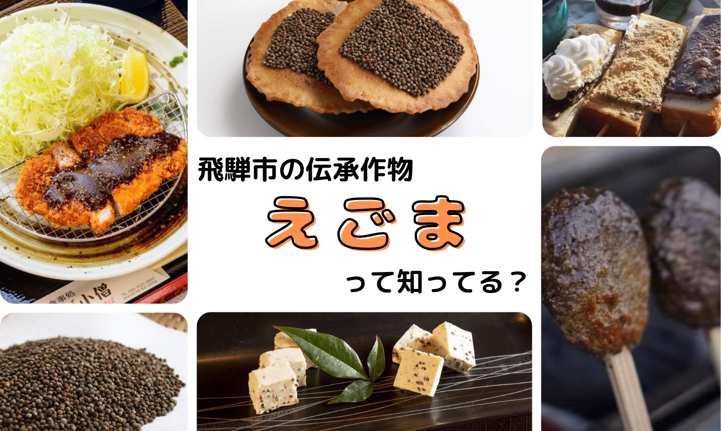 飛騨市の伝承作物「えごま」って知ってる？