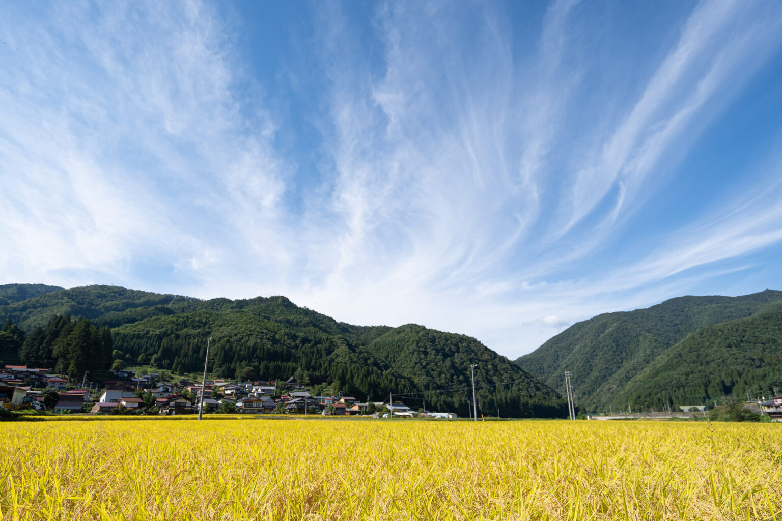 全国グランプリ受賞！飛騨市で出会う、お米と郷土の美味