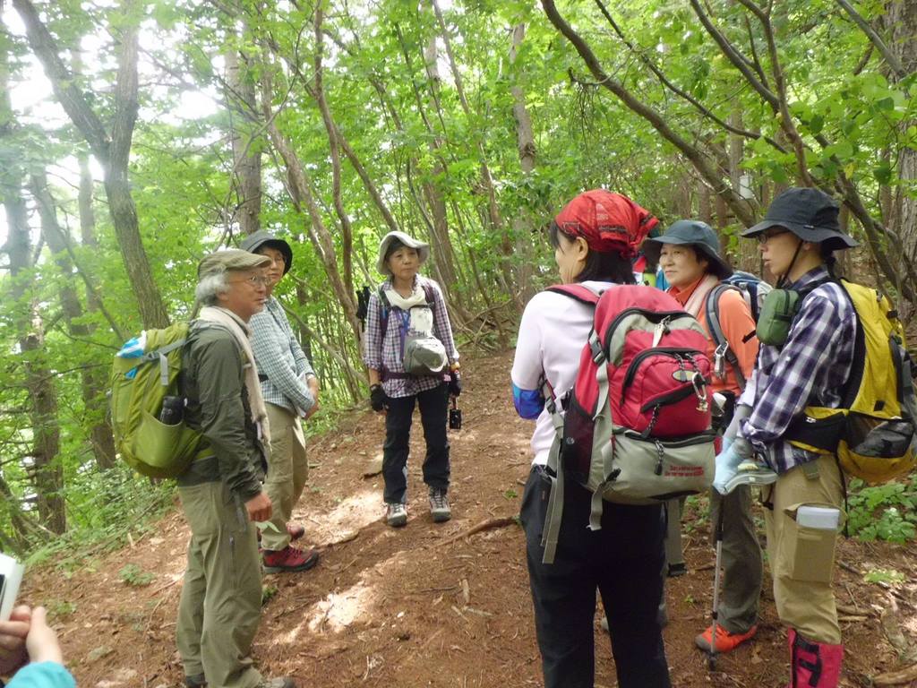 北ひだの森:私たちの取り組み