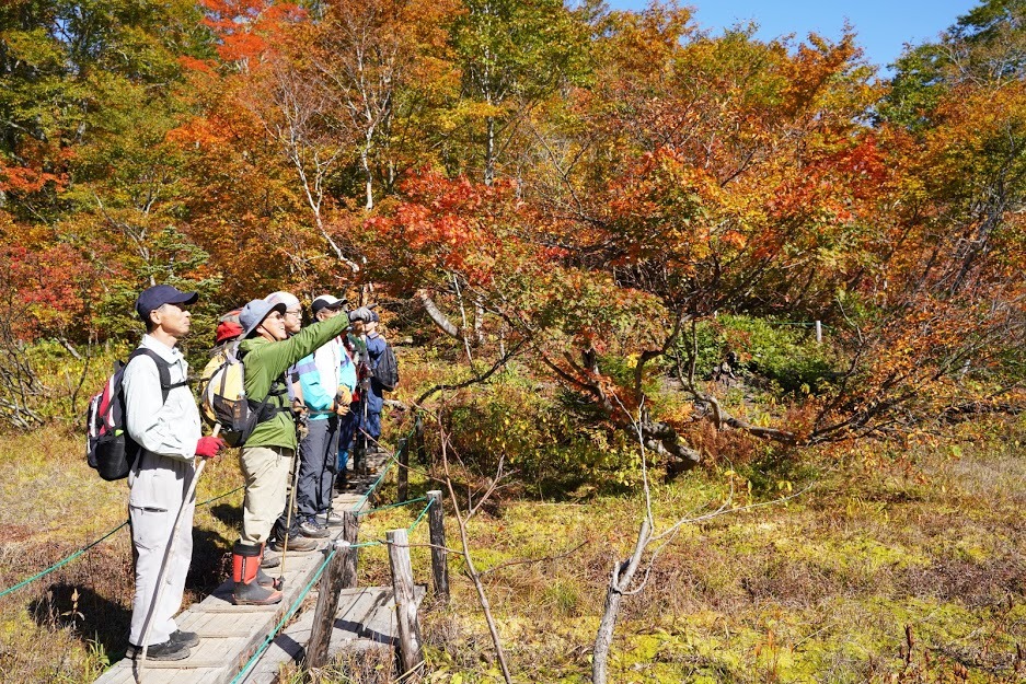 森の案内人によるガイドのご案内