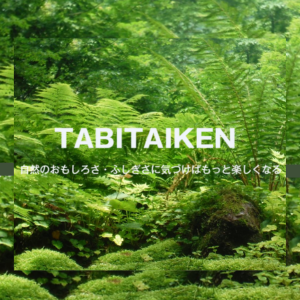 TABITAIKEN　越石あきこ