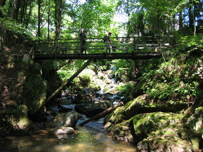 奥飛騨数河流葉県立自然公園