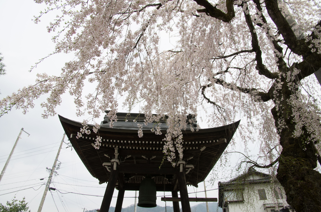 西光寺 飛騨市公式観光サイト「飛騨の旅」