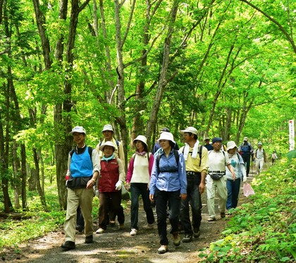 飛騨流葉トレッキング　山菜竹の子採り