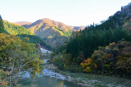 越中西街道（国道360号）の紅葉